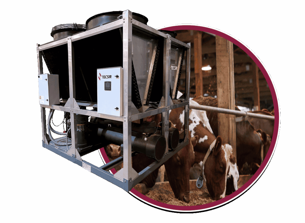 Chiller Industria Lactea